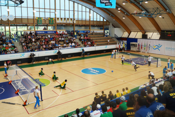 goalfix international goalball goal