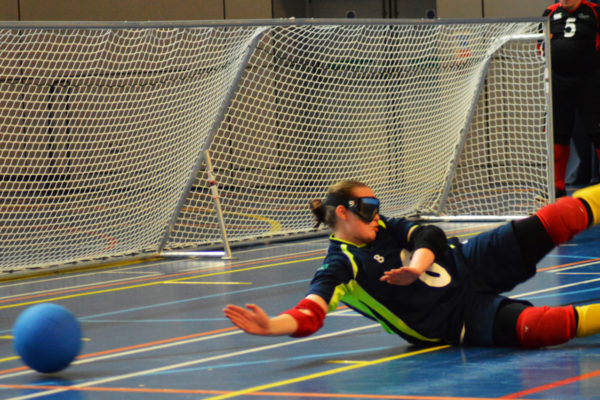 Goalfix lightweight goalball goal