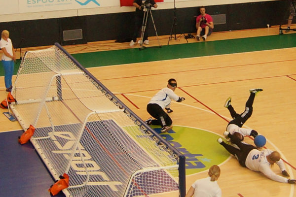 goalfix international goalball goal